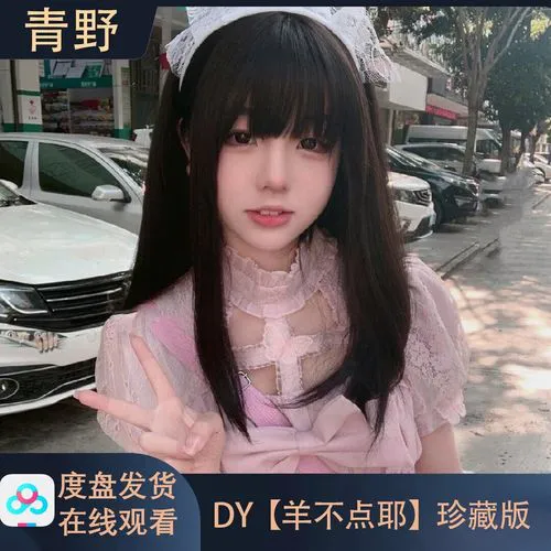 夜月直播寻回指南画面